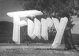 Return to Website